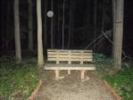 Orb at athe Fox Sisters' park