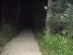 The walkway to Inspiration Stump