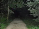 Down the path to the stump