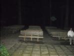 Looking at the seating at the stump