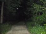 Orbs following us out