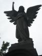 The Death Angel